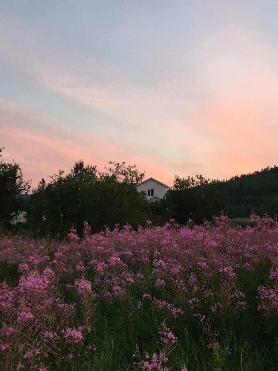그랑드 버거론즈 La Chouette Viree B&B 외부 사진